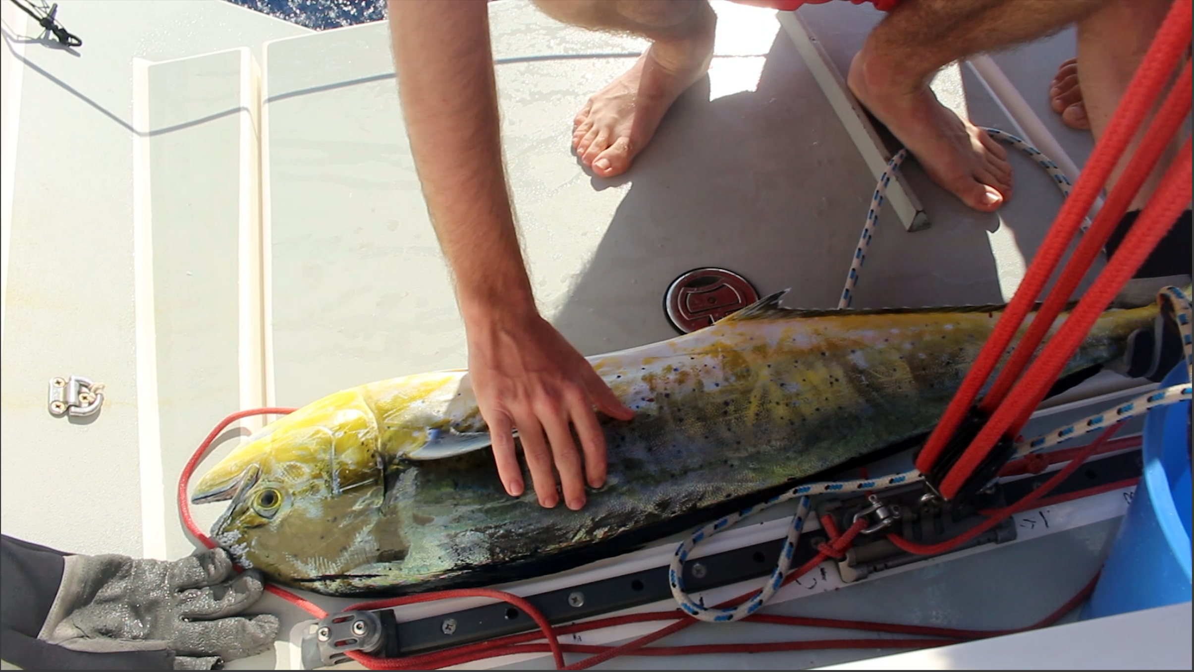 Traversée de l'Atlantique en voilier